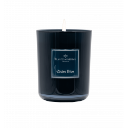 Blue Cedar Scented...